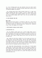 우리나라 정부형태(대통령제)의 문제점과 해결방안 6페이지
