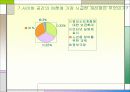 사이버공간과여론 14페이지