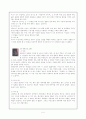 소설가 김진명과 그의 작품 해부 5페이지