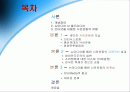네티즌과 시민운동 2페이지