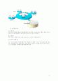 SCM 솔루션 벤더 12페이지