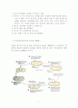 bacteriophage 7페이지