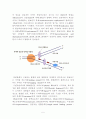 Nuclease 5페이지