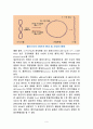 플라스미드(plasmid)에 대하여 6페이지