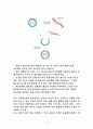 플라스미드(plasmid)에 대하여 8페이지
