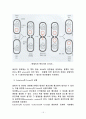 플라스미드(plasmid)에 대하여 15페이지