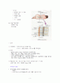 마취의 종류 3페이지