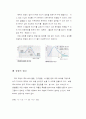 불꽃놀이 12페이지