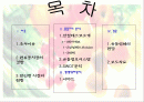 홈플러스분석 2페이지