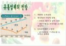 홈플러스분석 15페이지