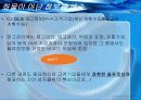 생산관리 (CJ GLS사의 ERP도입사례) 16페이지
