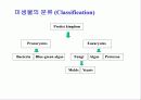 미생물의 세계(파워포인트-발표용) 4페이지