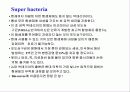 미생물의 세계(파워포인트-발표용) 14페이지