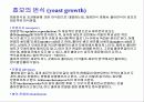 미생물의 세계(파워포인트-발표용) 16페이지