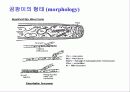 미생물의 세계(파워포인트-발표용) 21페이지