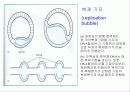 생명현상의 기초(파워포인트-발표용) 20페이지