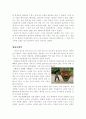 강화도 전등사 답사기 4페이지
