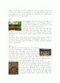 강화도 전등사 답사기 5페이지