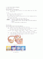 인간의 생식기관 3페이지