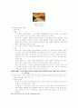 인간의 생식기관 7페이지