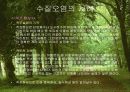 환경오염과 환경보존 3페이지