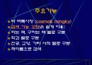 ASP를 이용한 웹사이트 개발 13페이지