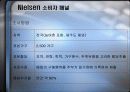 AC Nielsen 소비자 패널(광고 조사론) 13페이지