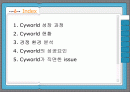 싸이월드(Cyworld)의 성공요인 2페이지