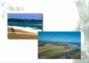 우리 나라 해안의 특색 2페이지