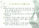 우리 나라 해안의 특색 4페이지