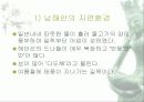 우리 나라 해안의 특색 12페이지
