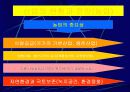 산업의 현황과 전망 4페이지