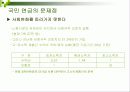국민연금제도의 현황과 문제점 20페이지