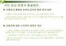 국민연금제도의 현황과 문제점 22페이지