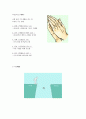 기독교학(네비게이토(Navigators´)의 역사와 주요활동) 7페이지