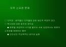 인터넷·모바일과 대중문화 29페이지