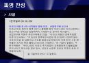 이라크전쟁 파병의 찬성의견과 반대의견 11페이지