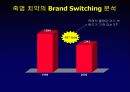 닐슨 소비자 패널 조사 26페이지