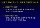 닐슨 소비자 패널 조사 53페이지