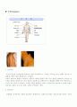 간경화와 간경화에 따른 문제리스트 정리 4페이지