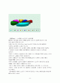 풀무원 마케팅 20페이지