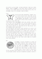 디자인과 생활 6페이지