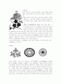 디자인과 생활 9페이지