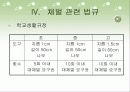 체벌교육에 대해서 13페이지