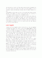 N세대와 VIP 마케팅전략에 대해서 2페이지