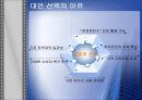 하이트 경영전략 ppt 9페이지