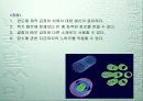 나노 기술 10페이지