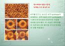 나노 기술 14페이지