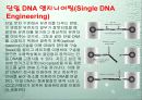 나노 기술 17페이지