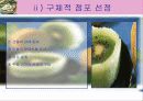쑥떡쑥떡 맛있는 까페 창업계획서 18페이지